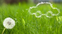 Spring Car Care Tips