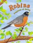 Ah,  Continued signs of spring...the Robin