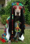 Woofstock - have you signed up to be a part of it?