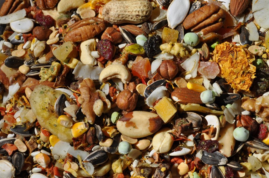 Parrot Whole Life Parrot Food Whole Life